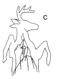 Figure C